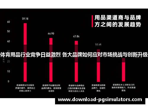 体育用品行业竞争日益激烈 各大品牌如何应对市场挑战与创新升级