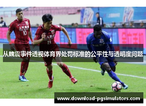 从魏震事件透视体育界处罚标准的公平性与透明度问题