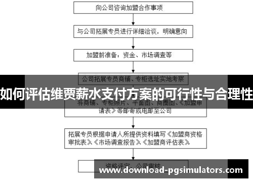 如何评估维贾薪水支付方案的可行性与合理性