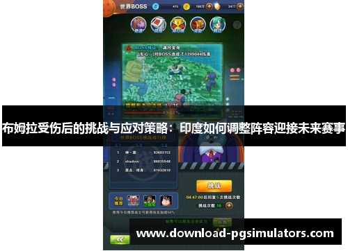 布姆拉受伤后的挑战与应对策略：印度如何调整阵容迎接未来赛事
