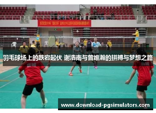 羽毛球场上的跌宕起伏 谢浩南与曾维瀚的拼搏与梦想之路