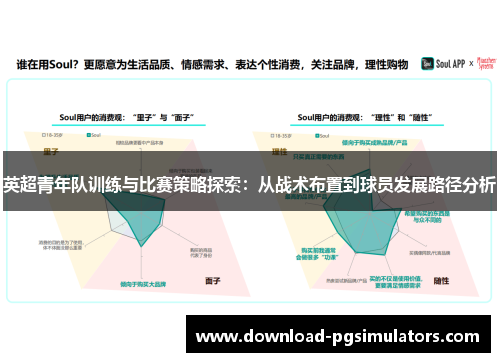 英超青年队训练与比赛策略探索：从战术布置到球员发展路径分析