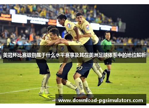 美冠杯比赛级别属于什么水平赛事及其在美洲足球体系中的地位解析