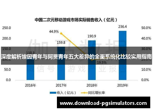 深度解析埃因青年与阿贾青年五大差异的全面系统化比较实用指南