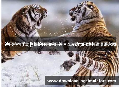 迪巴拉携手动物保护项目呼吁关注流浪动物困境共建温暖家园