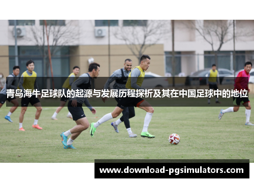 青岛海牛足球队的起源与发展历程探析及其在中国足球中的地位