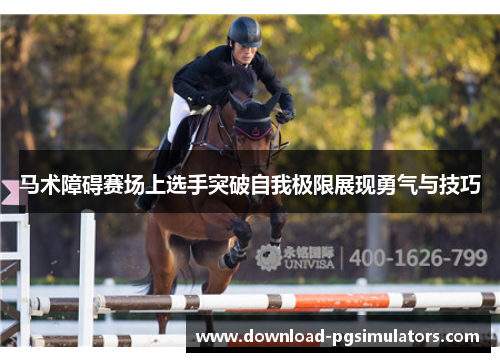 马术障碍赛场上选手突破自我极限展现勇气与技巧
