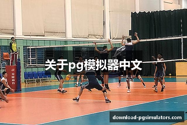 关于pg模拟器中文